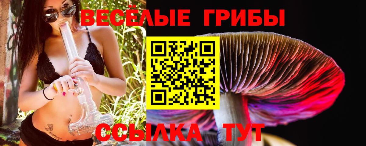 Галлюциногенные грибы ЛСД  купить  сайты  Вход с VPN  Партизанск  Галлюциногенные грибы ЛСД 